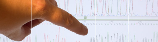 Sitemap www.easydna.ph